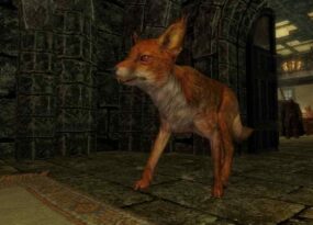 Huyền thoại về 'treasure fox' của Skyrim đã được giải thích